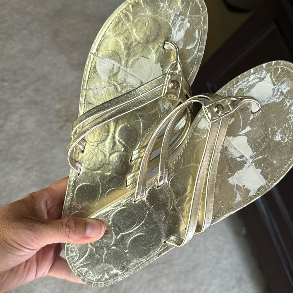 Coach flip flops
